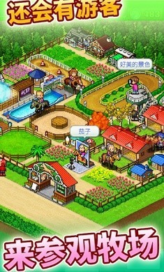 赛马牧场物语截图2
