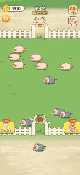 猪猪多多红包版 猪猪多多红包版