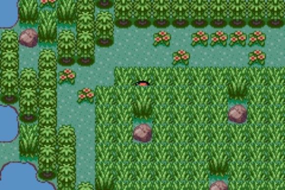 口袋妖怪格查尔pokemonquetzal