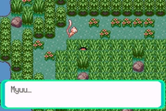 口袋妖怪格查尔pokemonquetzal