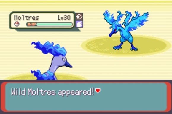 口袋妖怪格查尔pokemonquetzal