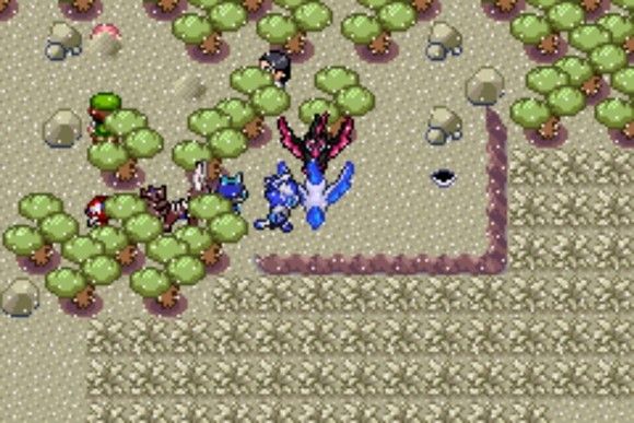 口袋妖怪格查尔pokemonquetzal