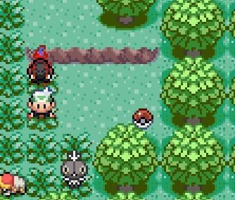 口袋妖怪格查尔pokemonquetzal