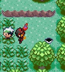 口袋妖怪格查尔pokemonquetzal