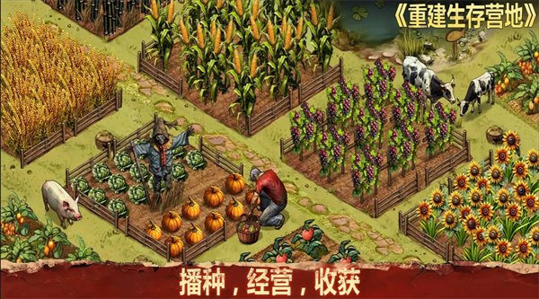 重建生存营地截图1