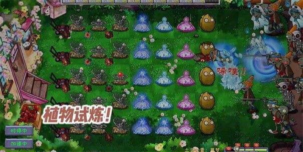pvz共生版1.1.3