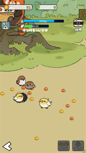 雀食好玩小游戏截图2