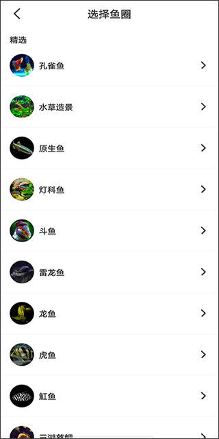 鲲天下养鱼app 鲲天下养鱼app