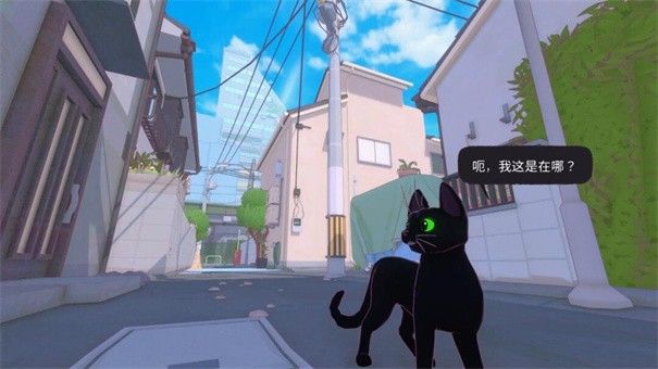 小猫咪大城市游戏手机版 小猫咪大城市游戏手机版