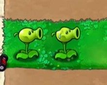 植物大战僵尸逆天版手机版 植物大战僵尸逆天版手机版