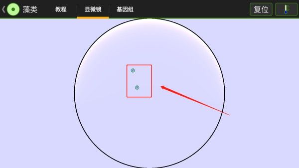 细胞实验室v103汉化版最新版本