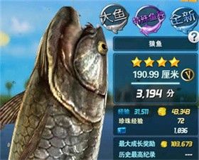 钓鱼发烧友2025最新版本