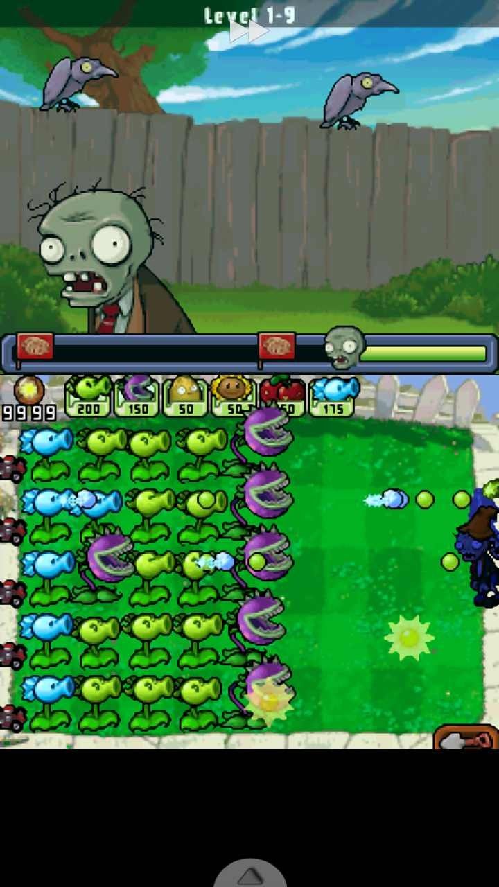 植物大战僵尸ds