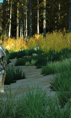 狩猎之道手机版截图0