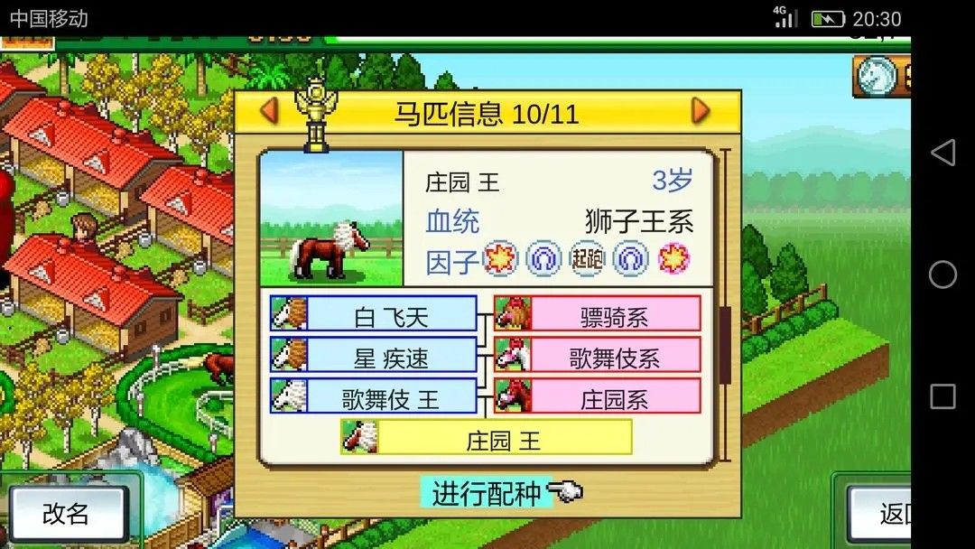 赛马牧场物语debug版