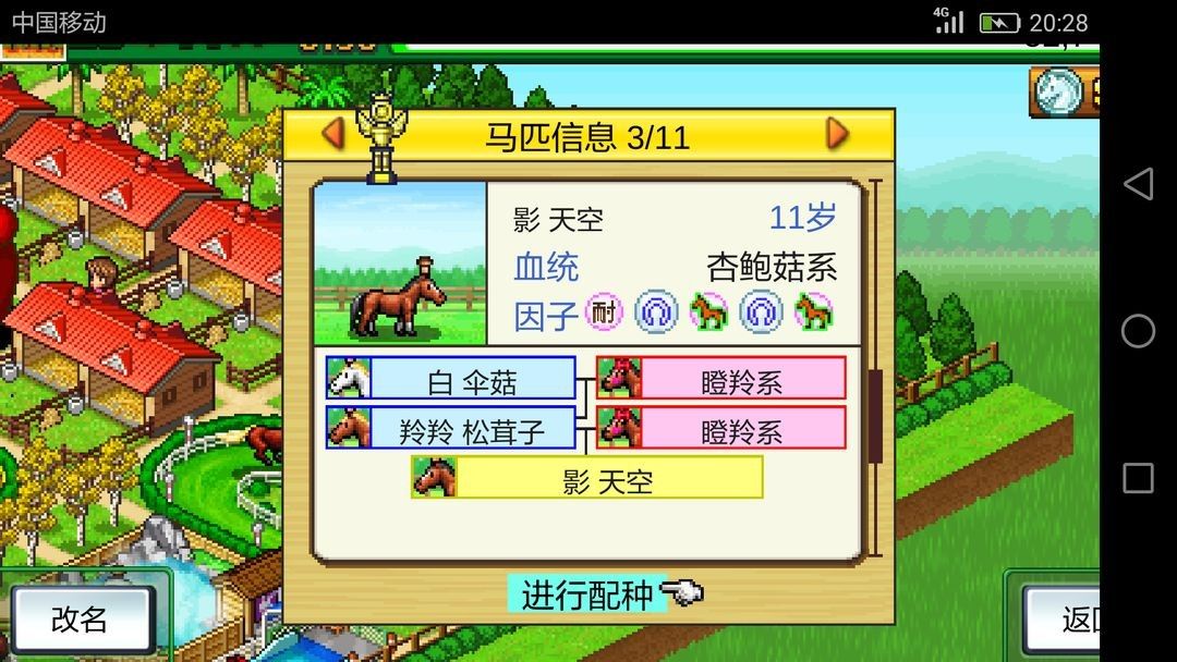 赛马牧场物语debug版