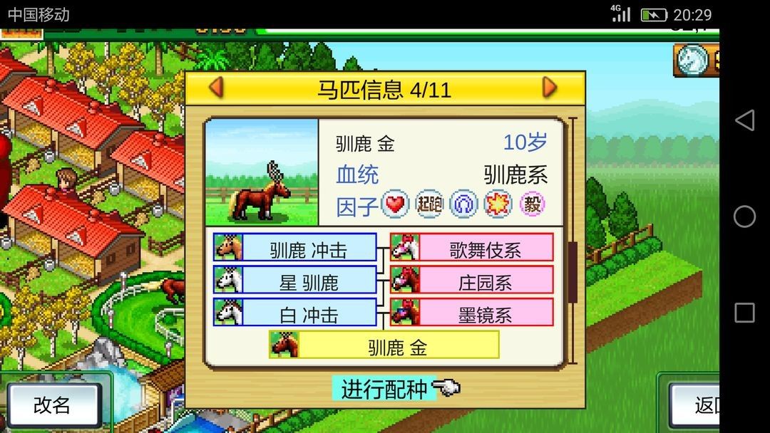 赛马牧场物语debug版