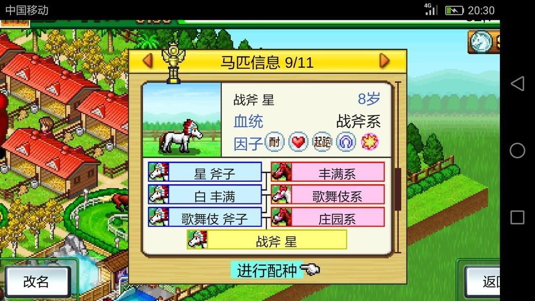 赛马牧场物语debug版