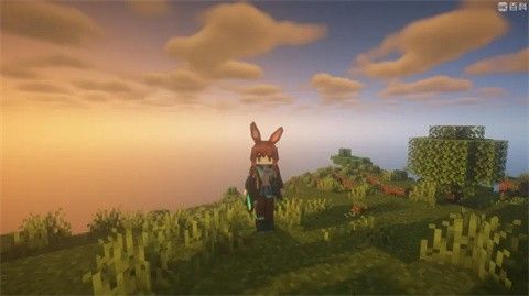 我的世界史蒂夫模组