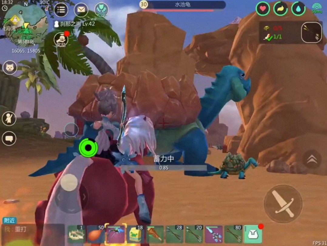 创造与魔法龟吃什么