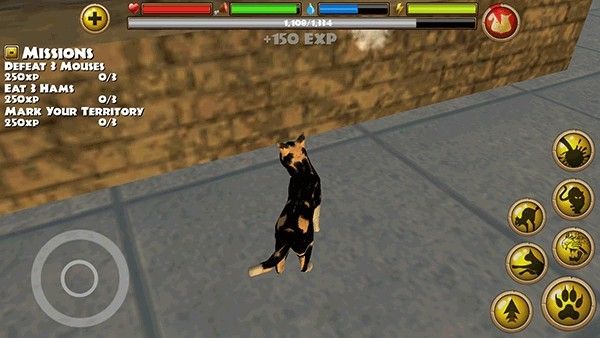 流浪猫模拟器中文版