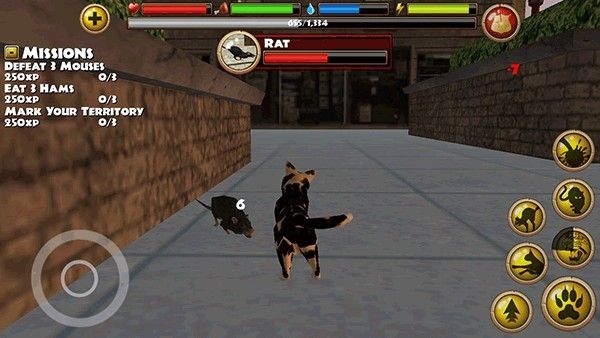 流浪猫模拟器中文版