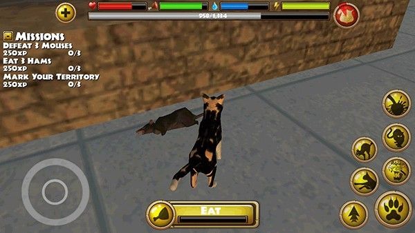 流浪猫模拟器中文版