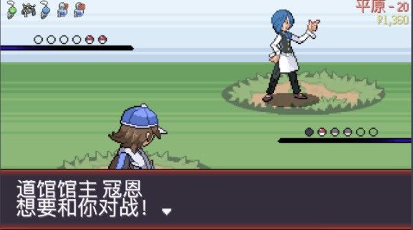 宝可梦肉鸽pokerogue手机版prsv