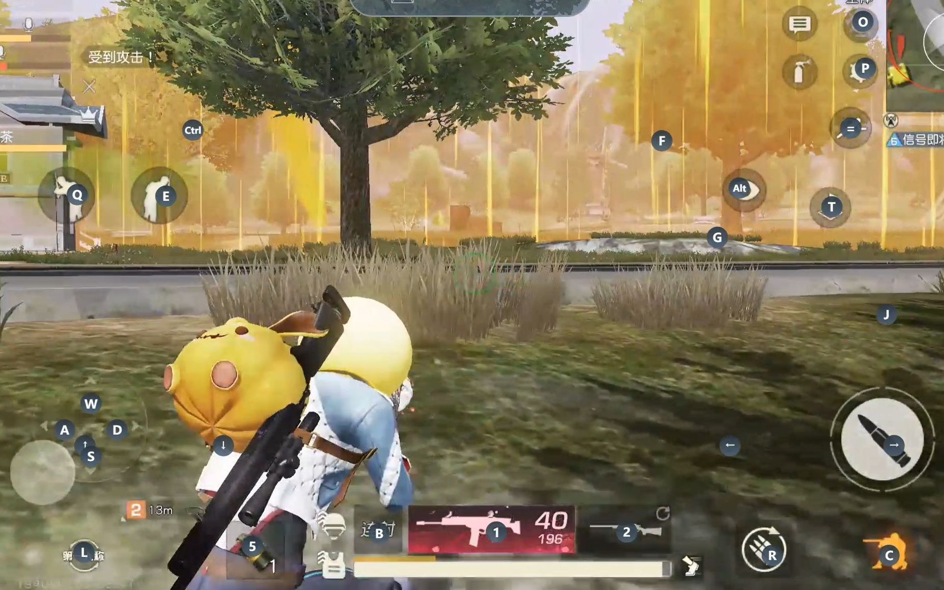 荒野行动有哪些作死的行为