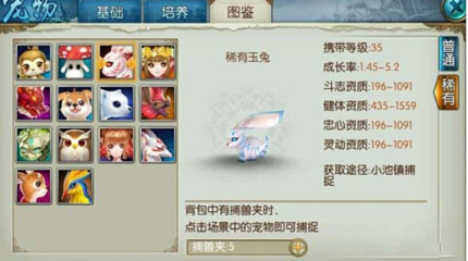 诛仙手游稀有兔怎么加点