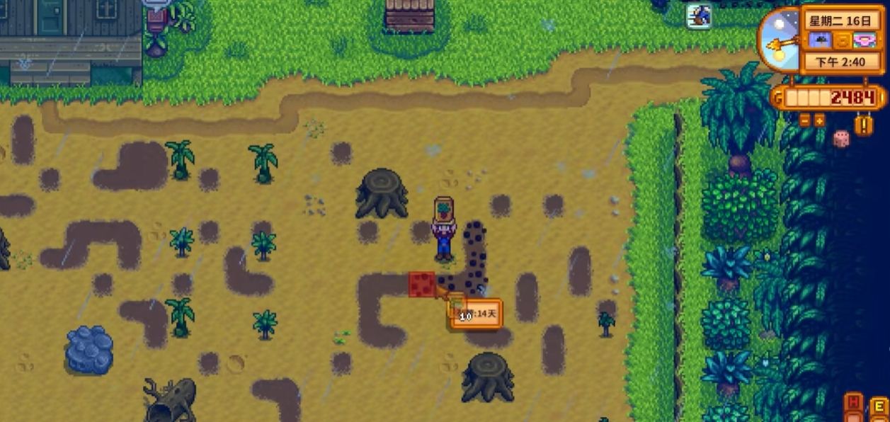 星露谷物语菠萝收益怎么样