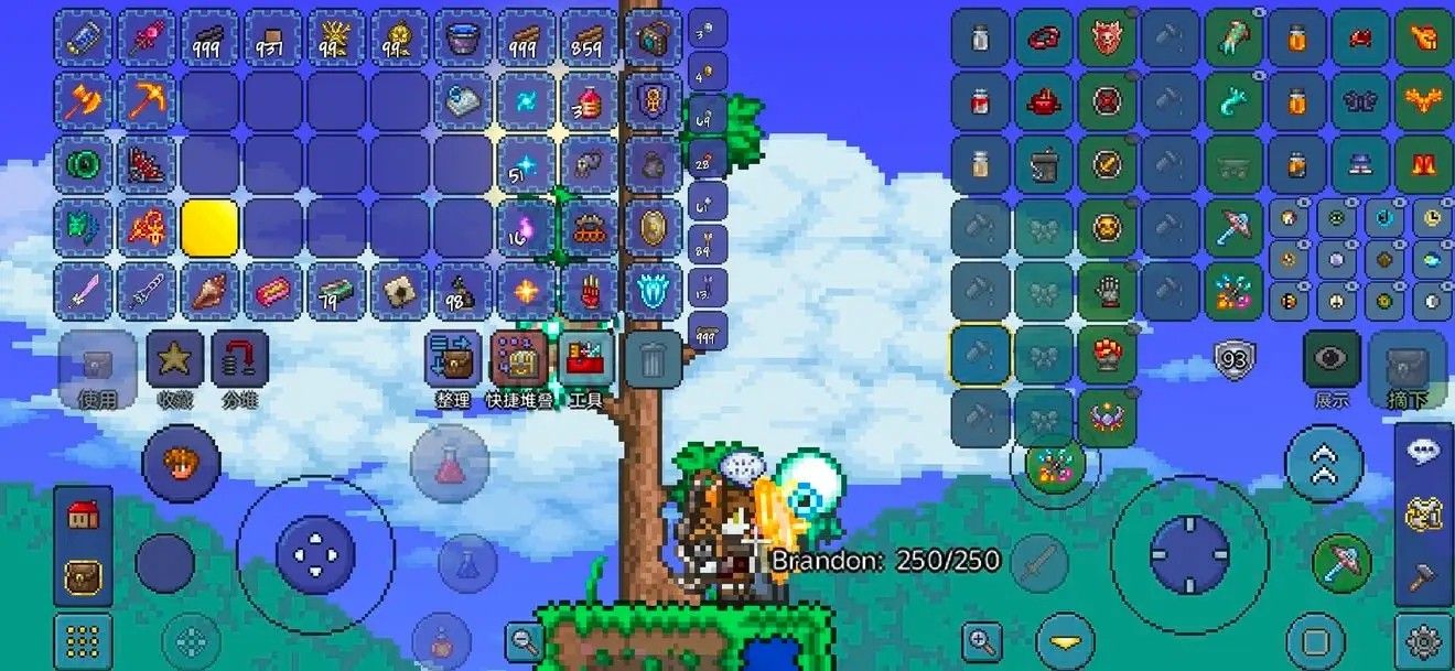 泰拉瑞亚战士可以怎么发育