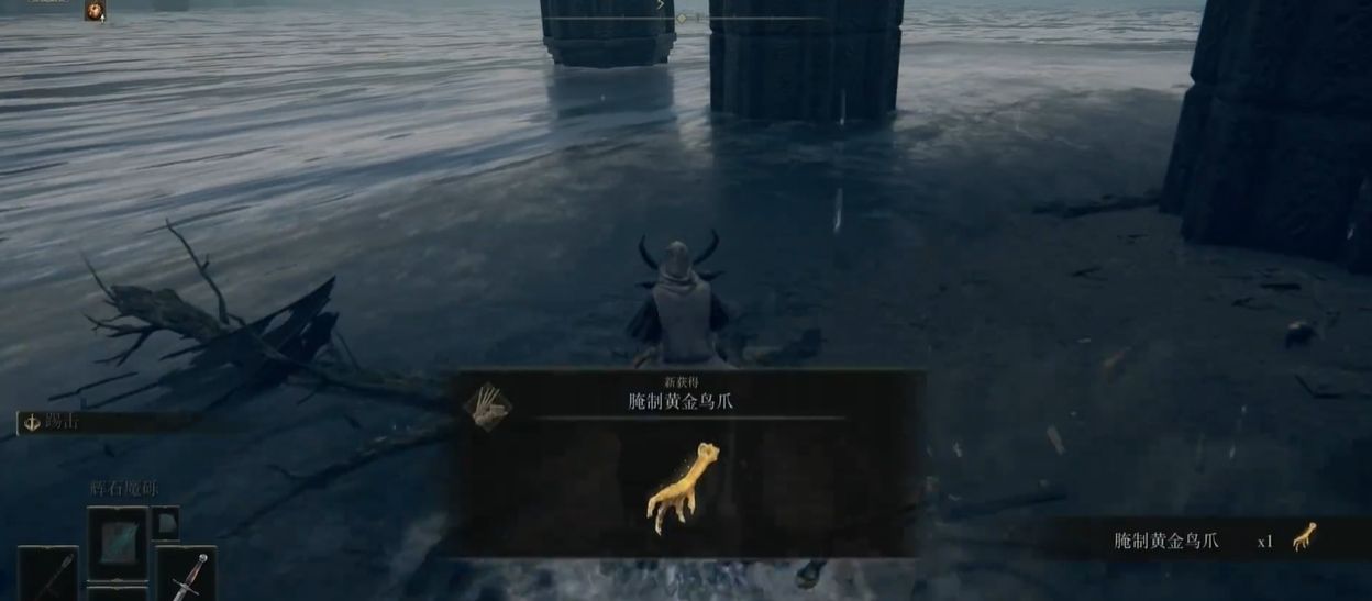 艾尔登法环白龙怎么打快