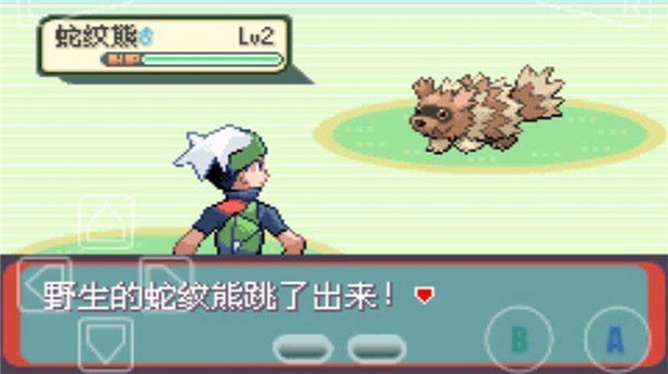 口袋妖怪绿宝石gba版截图3