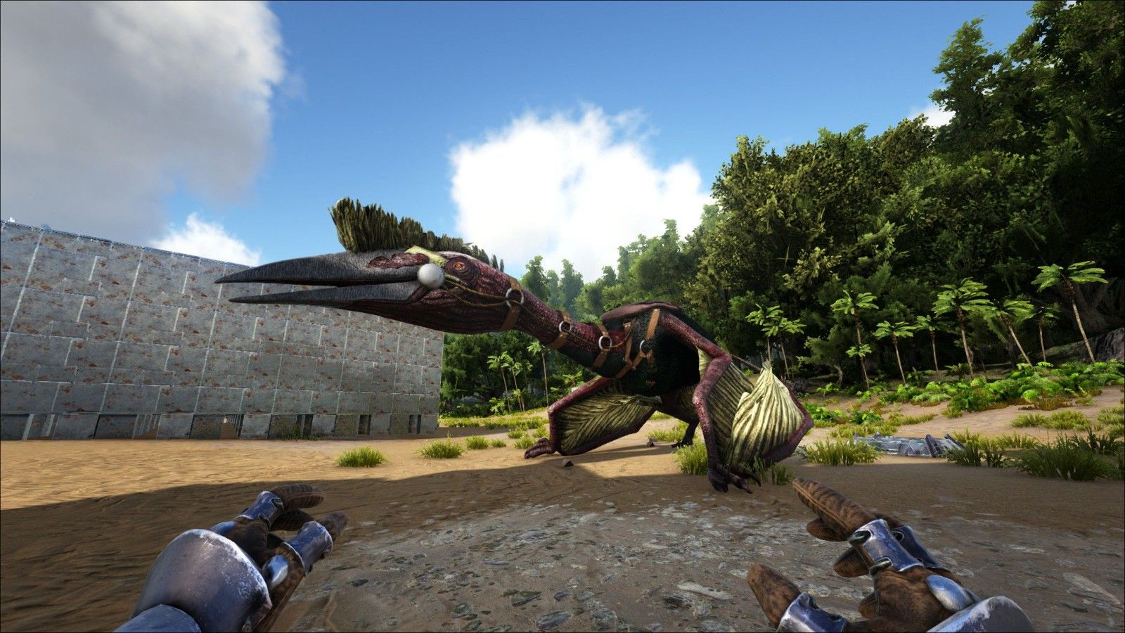 方舟生存进化风神翼龙怎么驯服