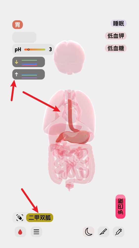 生命life安卓汉化版 生命life安卓汉化版