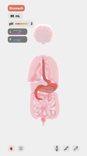 生命life安卓汉化版截图0