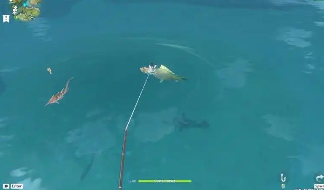 原神精5鱼叉怎么获得