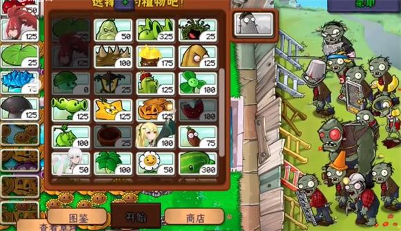 植物娘大战僵尸窝瓜娘 植物娘大战僵尸窝瓜娘