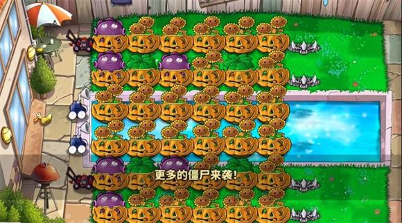 植物娘大战僵尸窝瓜娘 植物娘大战僵尸窝瓜娘