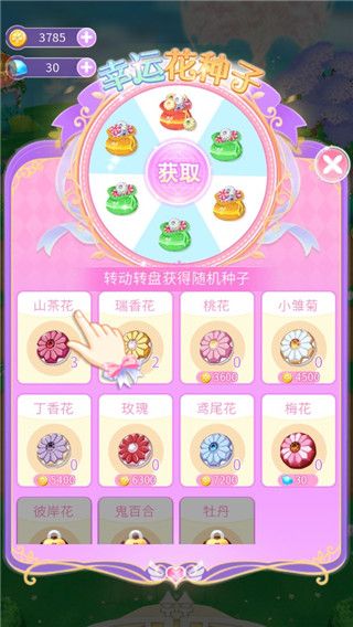 小花仙精灵王 小花仙精灵王