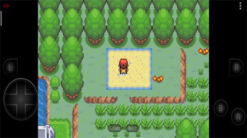 口袋妖怪彼岸花绽放之夜截图2