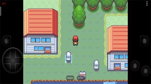 口袋妖怪彼岸花绽放之夜截图1