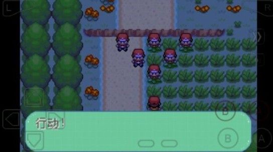 口袋妖怪彼岸花绽放之夜