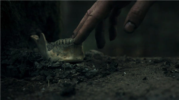 幽林深处手机版截图3