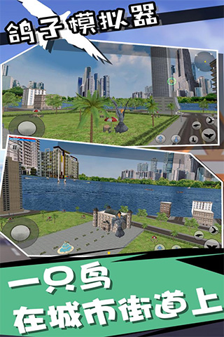 鸽子模拟器中文版截图3