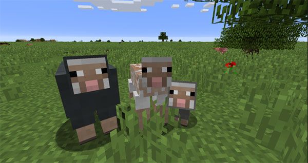 我的世界1.19.50.25基岩版国际版