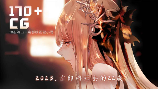 孟德大小姐与自爆少年截图2