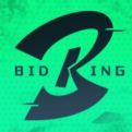 竞拍之王